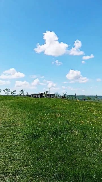 Крым. Теплица. Весна. 2024. Апрель. Погода - ветер. смотреть онлайн