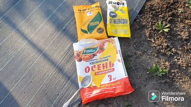 273. Вакуумирую виноград на хранение. Копаю огород. смотреть онлайн