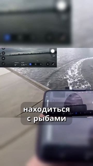 Это сделает вашу РЫБАЛКУ в 100 раз ИНТЕРЕСНЕЕ! #ocean #shorts #v смотреть онлайн