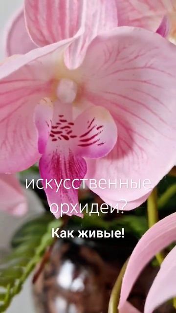 #искусственныецветы #орхидея #орхидеяфаленопсис #орхи смотреть онлайн