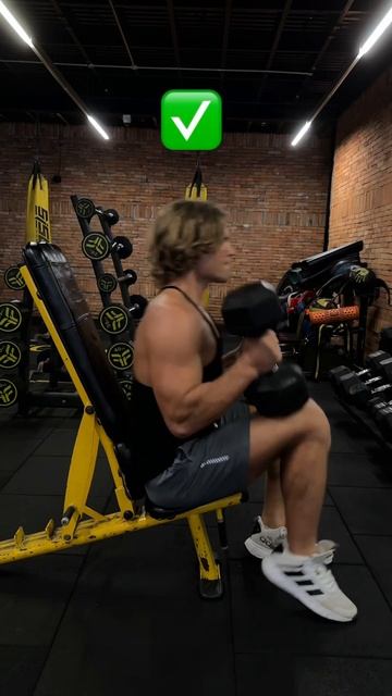 Жим с гантелями сидя (Seated dumbbell bench press) смотреть онлайн