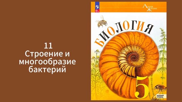 Биология, 5-6 класс, Пасечник, строение и многообразие б смотреть онлайн