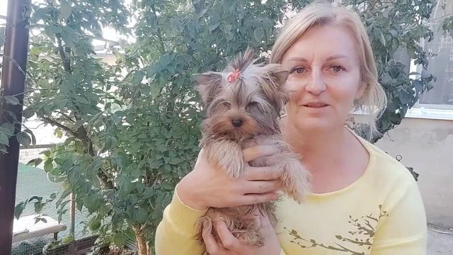 Микро крошечка Аврора в поиске семьи💥 Цена 150т.рДоста смотреть онлайн