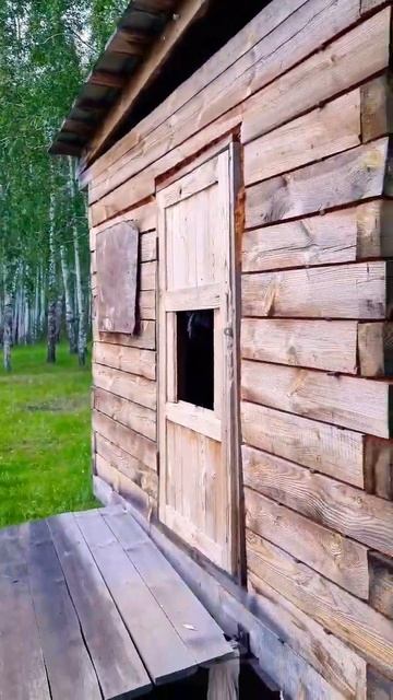 Иду по лесу, а там баня стоит...😳 смотреть онлайн