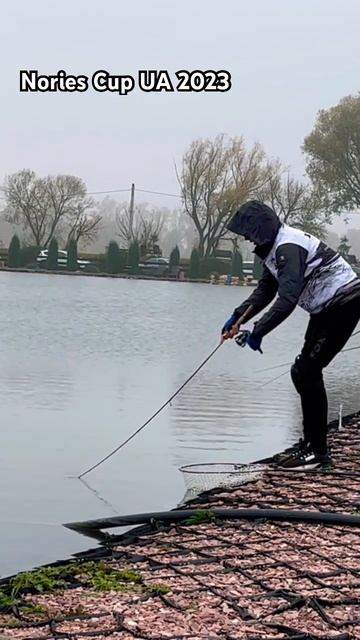 Дуже подобається цей відос) #fish #fishing #trophy #київ #риба #ук