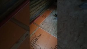 Курятник. Утепление пола.