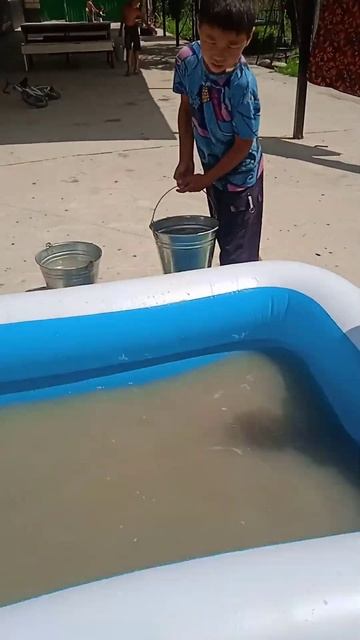 до/после😉 бассейн,лето,жара купаються дети смотреть онлайн