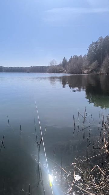 8 апреля 2025 г.