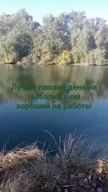 Психология рыбака! #природа #рыбалка #fisher #отдых #река #?