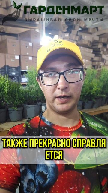 Избавиться от проволочника с помощью посадки некотор? смотреть онлайн