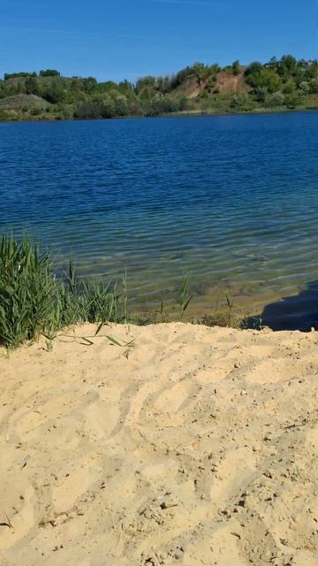 Будущая подводная съёмка ) реакция рыбы на хлеб с чесн?