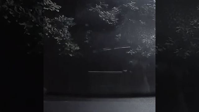 медведь на красной поляне смотреть онлайн