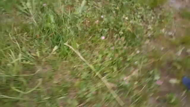 Пьяный футбол от первого лица смотреть онлайн