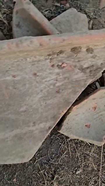 Античная черепица найеднная на раскопках античного г смотреть онлайн