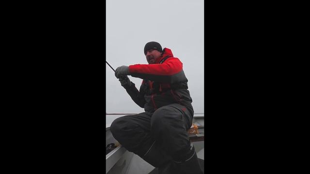 Где рыба ЗИМУЕТ?! Смотрим в эхолот...