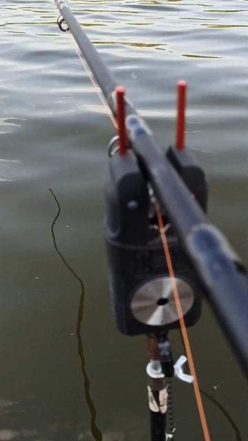 EastShark SP-01!👍#fishing #carpfishing#рыбалка#рекомендации смотреть онлайн
