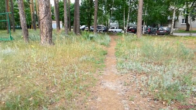 Лосиха с лосятами 24/07/2018 ок.17-00 ок. д. 43 по пр-ту 30-летия Победы. Части с 3-й по 7-ю (из 10 смотреть онлайн