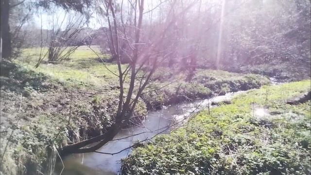 80-летие Великой Победы продолжается и поздравления тоже🙏💖✨👍