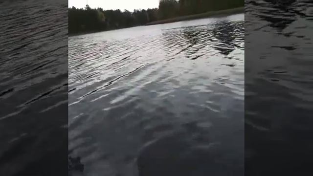 Щука на спиннинг сентябрь смотреть онлайн