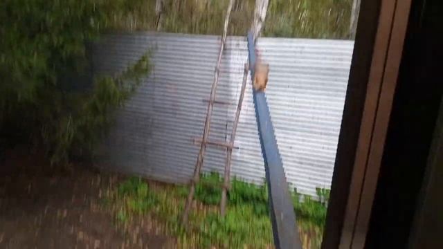 Очень много белок,даже новенькие есть.Карта на корм бе смотреть онлайн