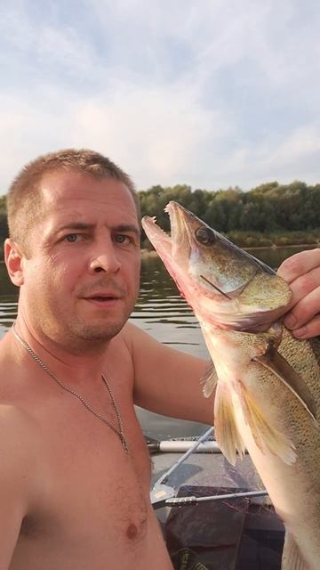 Рыбалка удалась!!! #рыбалка #щука #троллинг #белоомут #с? смотреть онлайн