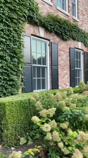 Невероятные гортензии#flowers #гортензія #гортензия #garden #