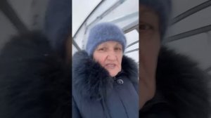 Доломитовая мука от вершинной гнили на помидорах . Зим