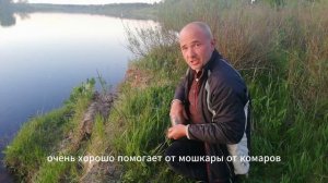 Ловим сома. Как правильно установить донку 🎣 #Рыбалка