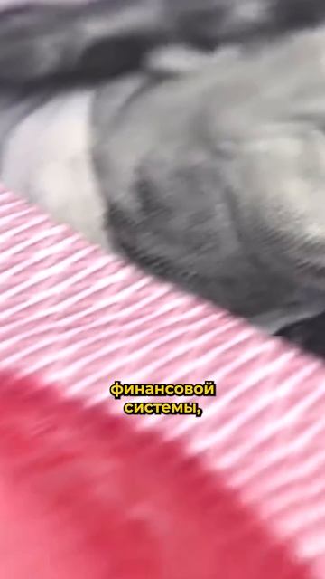 Кто пострадает, а кто выиграет от краха доллара? смотреть онлайн