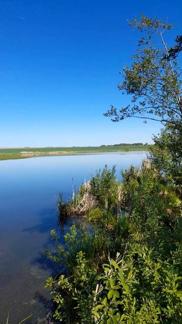 Отдых в доме на берегу реки Московская обл., г.о. Зарайс смотреть онлайн
