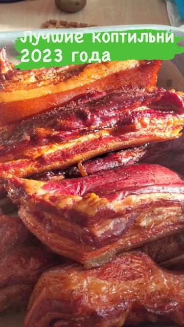 ЛУЧШИЕ КОПТИЛЬНИ 2023г. Коптильня Москит