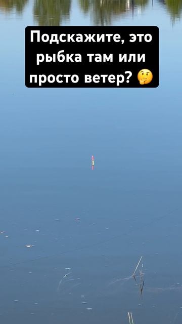 Это клюет или ветер? #отдых #fishing #кемпинг #юмор #клев #ры смотреть онлайн