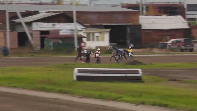БСК Новосибирск 19.09.20г. Приз в честь А.И. Покрышкина Орл. 2016г рожд. и старше 1600м смотреть онлайн