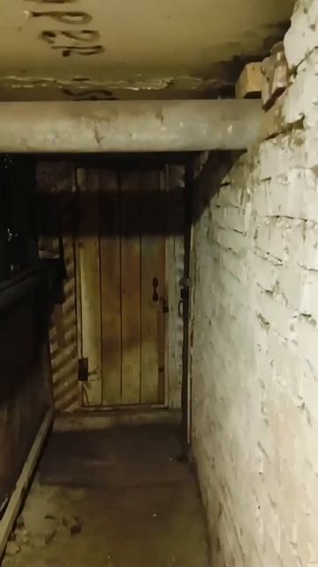 Вот здесь должны укрываться женщины и дети в случае ЧС смотреть онлайн