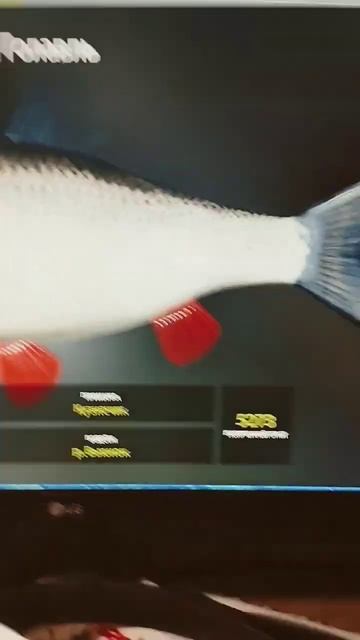 #shorts русская рыбалка 4 р.Вьюнок Трофей.Голавль 4.219кг смотреть онлайн