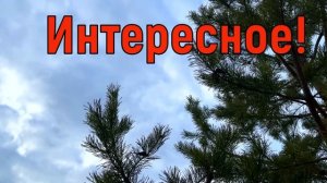 2 апреля День Фотинии. Что нельзя делать 2 апреля. Народ