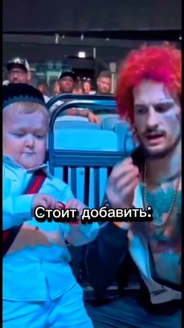 Шон О’Мэлли. Путь до чемпиона UFC. #юфс #ufc #шономэлли смотреть онлайн