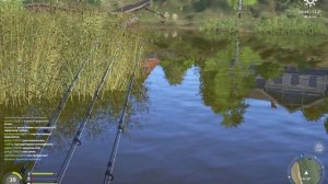Русская рыбалка 4 где половить карася на озере комарин
