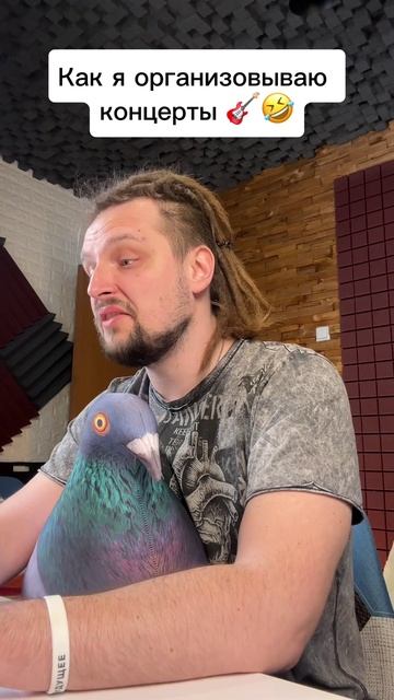Как я организовываю концерты смотреть онлайн