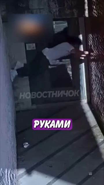 😳 Самый необычный побег из тюрьмы! | Новостничок смотреть онлайн