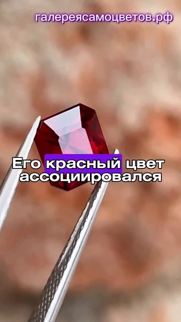ДРЕВНИЙ АМУЛЕТ?!🛡️📿 #почему #воин #история #гранат #у?