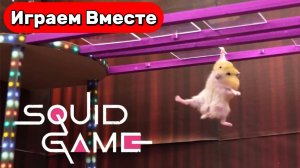 Хомяки проходят испытания как в Игре в кальмара 🐹 Приключения Умного Хомяка 🐹 Видео для детей
