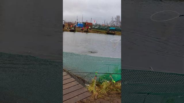 Рыбалка в "Золотая подкова" смотреть онлайн