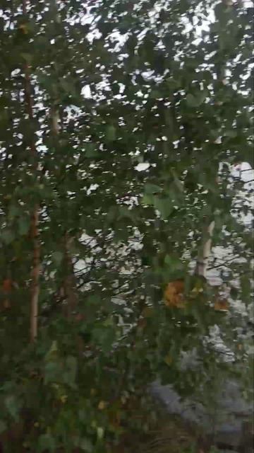 лучшее место для рыбалки!!! смотреть онлайн