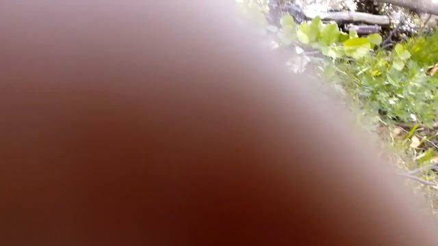 Короче говоря рыбалка