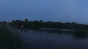 ДИКИЙ ЖОР ЖЕРЕХА! Tsuyoki Rafa 50 просто батя!