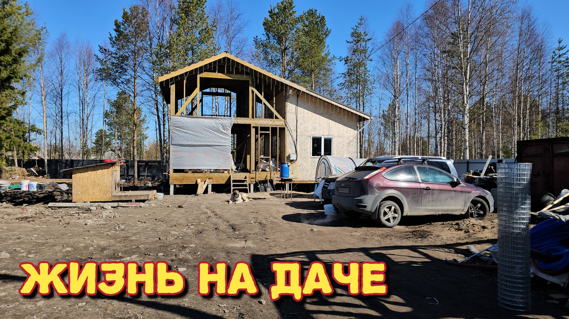 Пришлось все закрывать/постоянно куда-то убегает/продаю рассаду/буду следить. смотреть онлайн