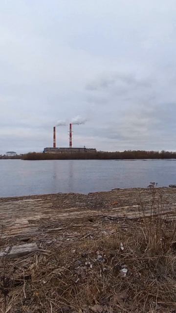 #я #лето #май #стул #зачем #почему #зачто #ладно #архангел