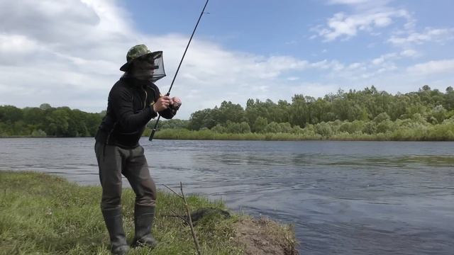 Ловля Жереха на Десні. Як Ловити Чехоню на Бомбарду смотреть онлайн