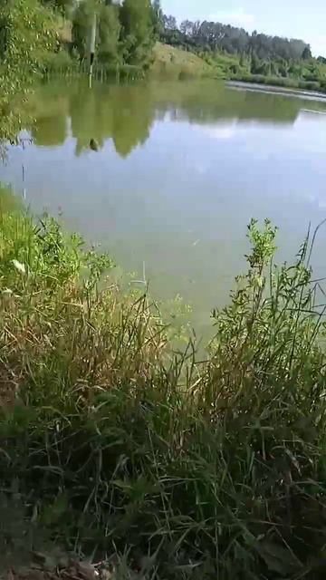 собираю мужиков 17/100 #рыбалка #поплавок #отдых #карась